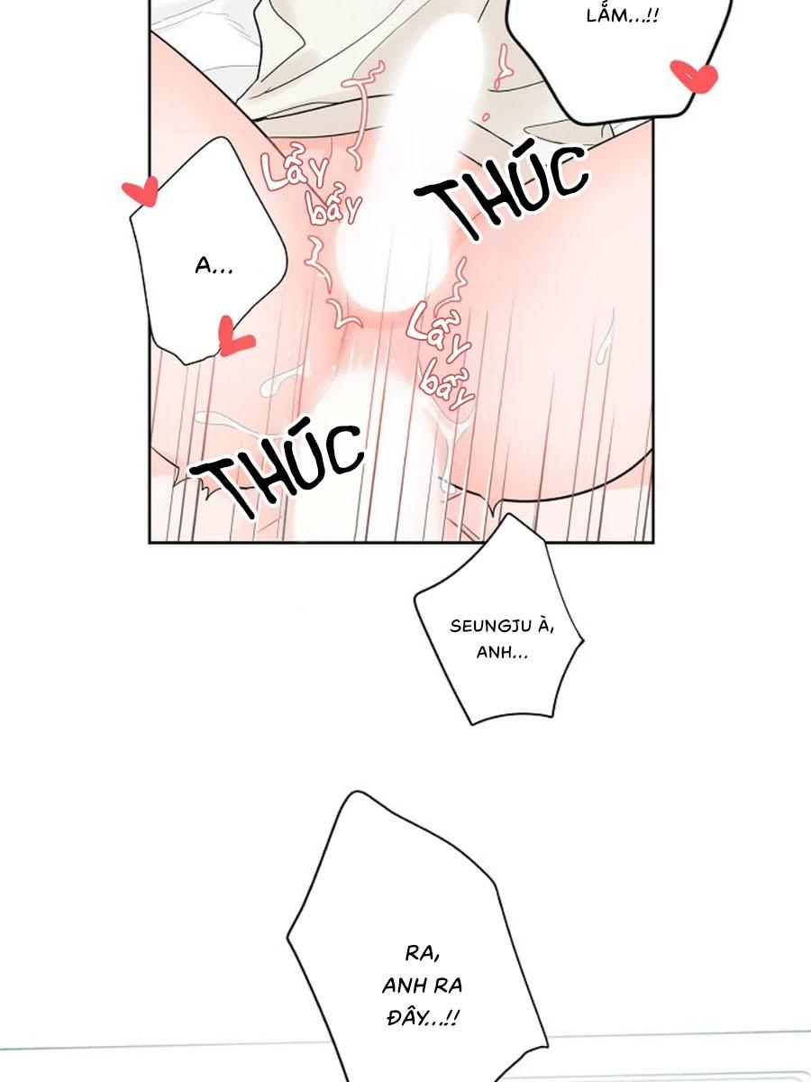 Trang 24