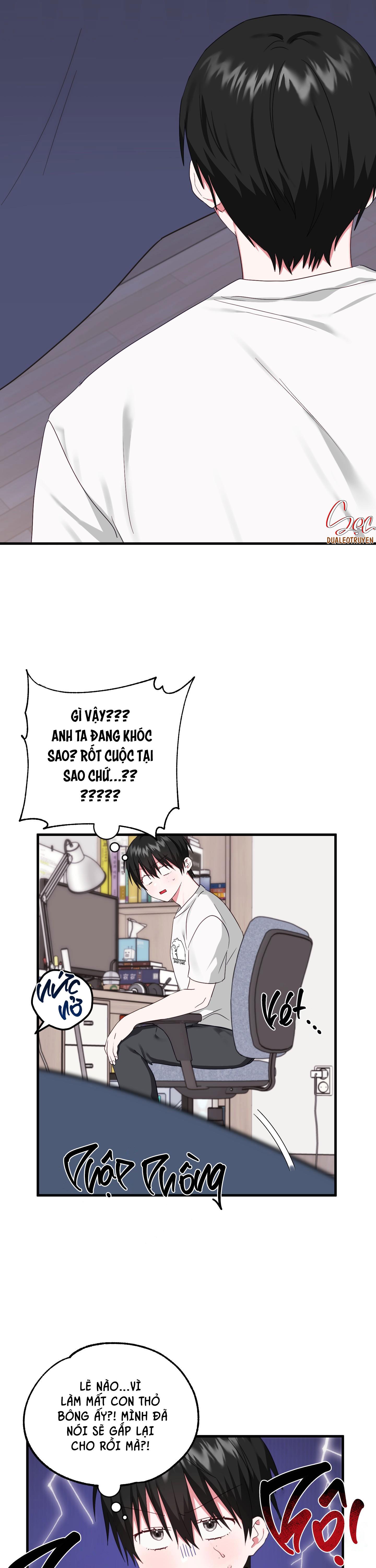 Trang 19
