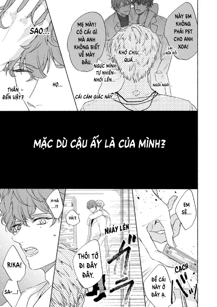 Trang 15