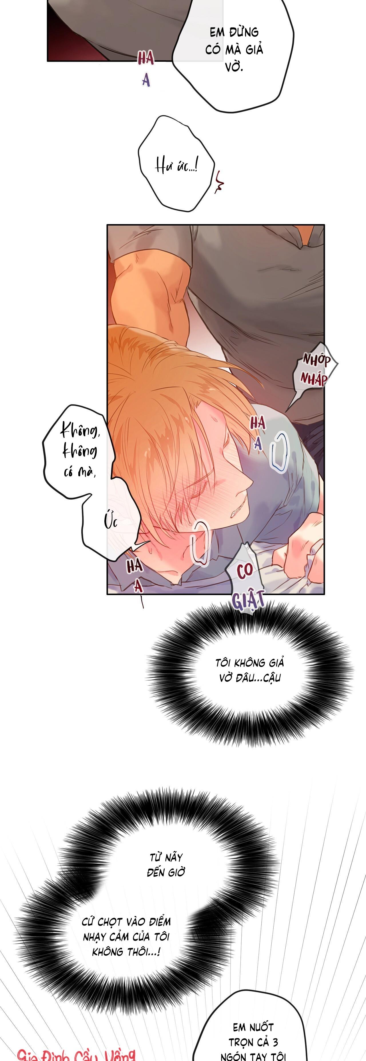 Trang 27