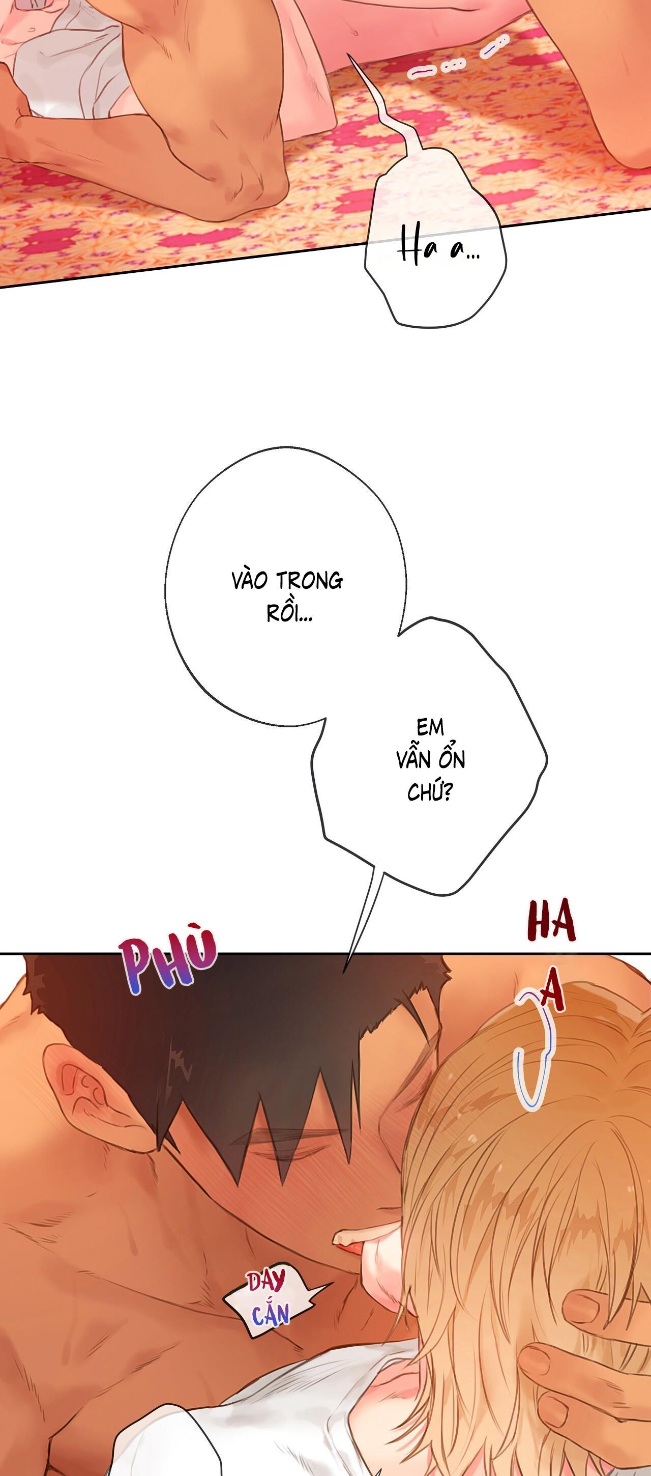 Trang 31