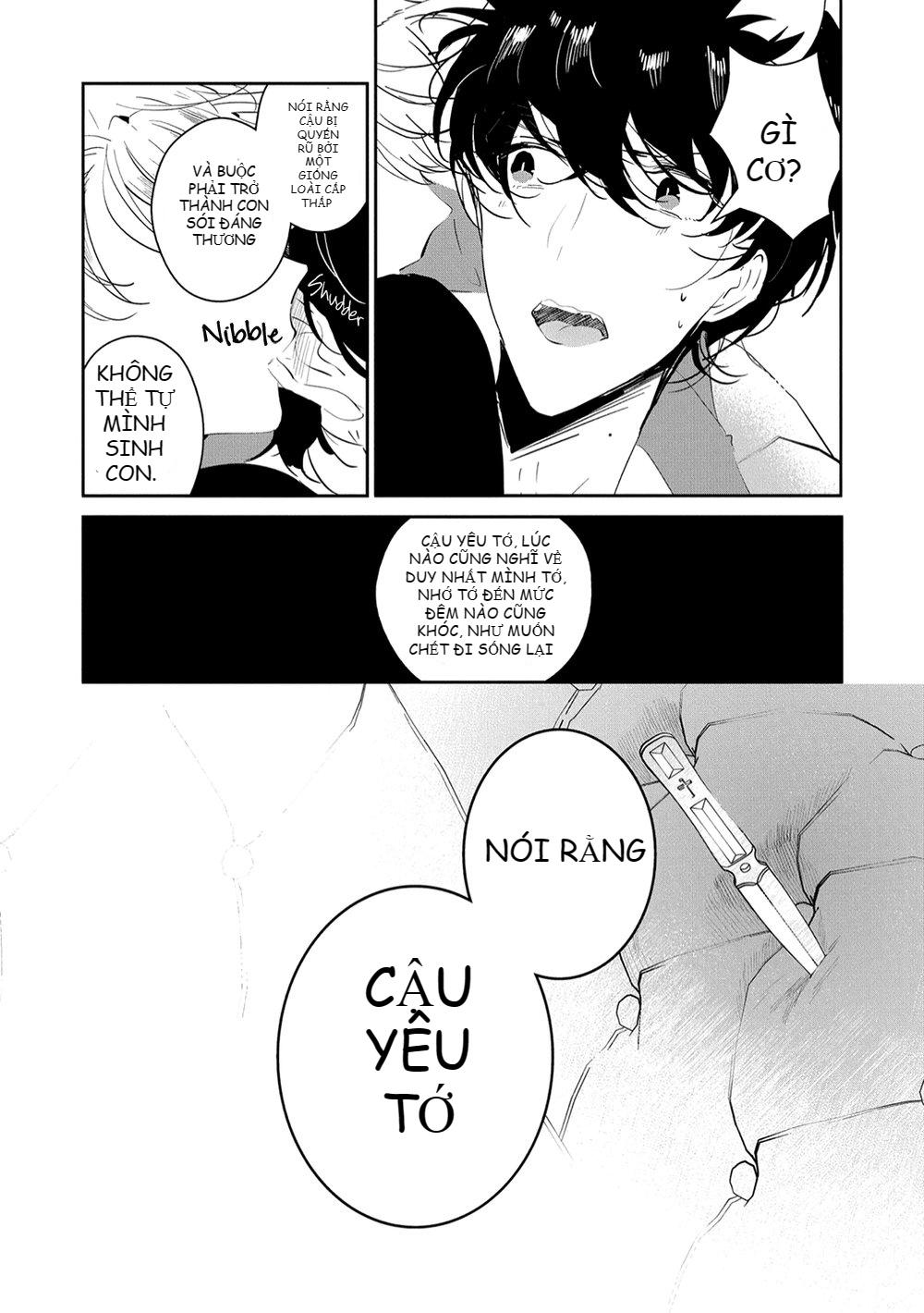 Trang 21