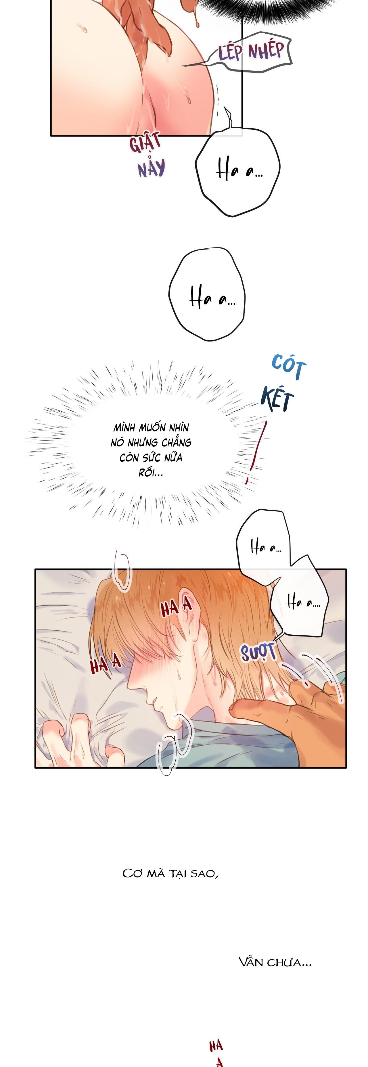 Trang 30