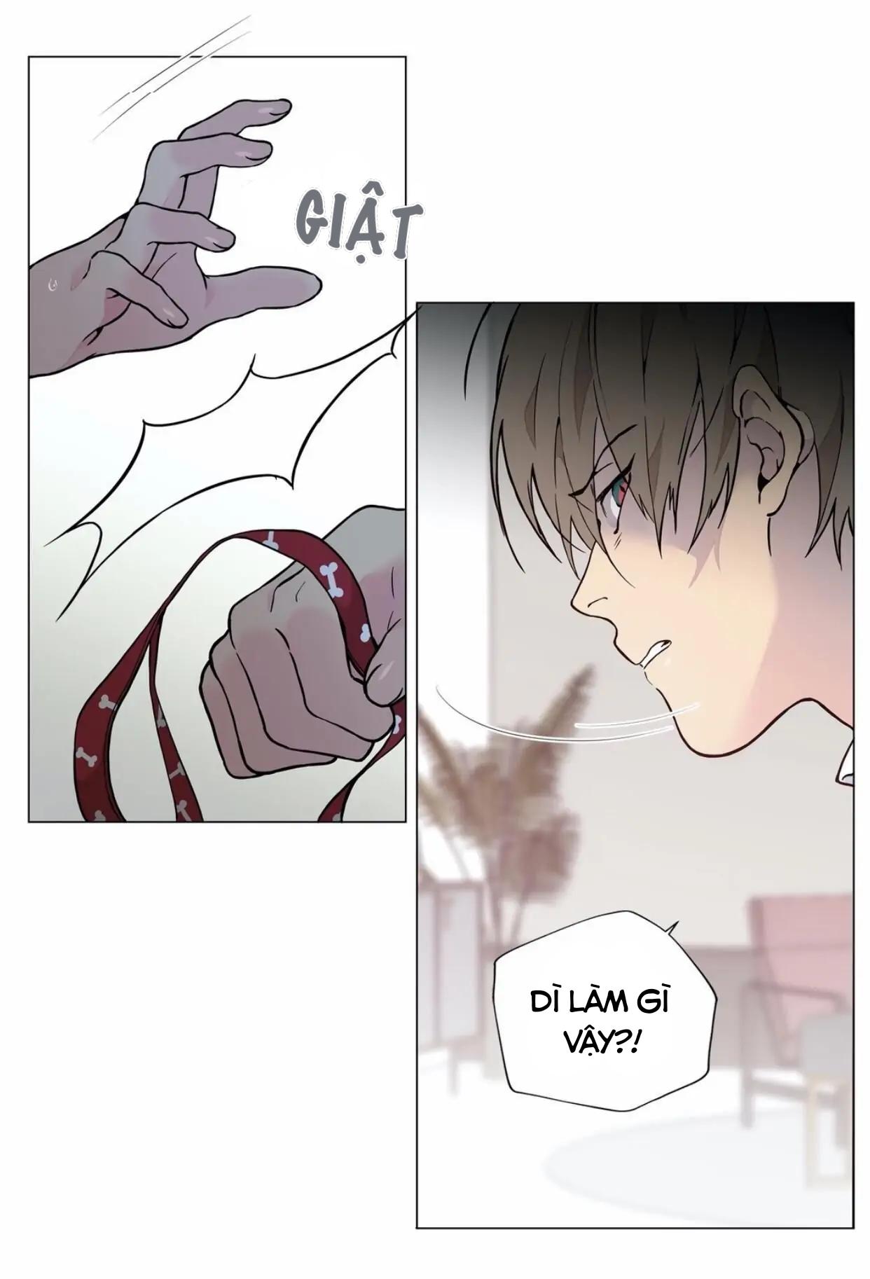 Trang 48