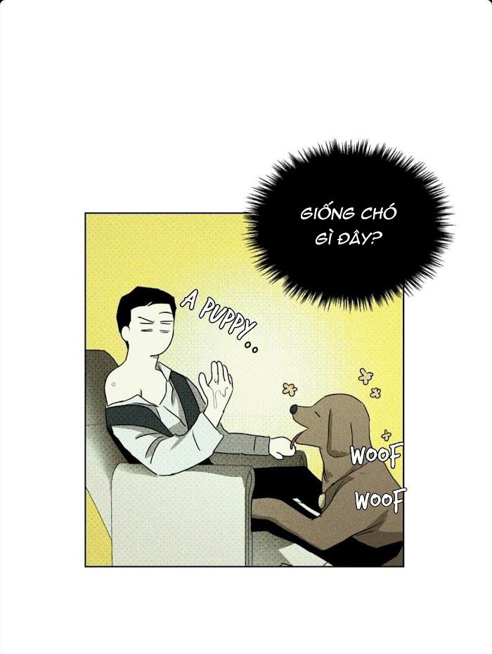 Trang 24