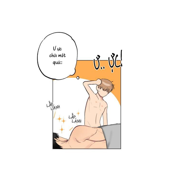 Trang 41