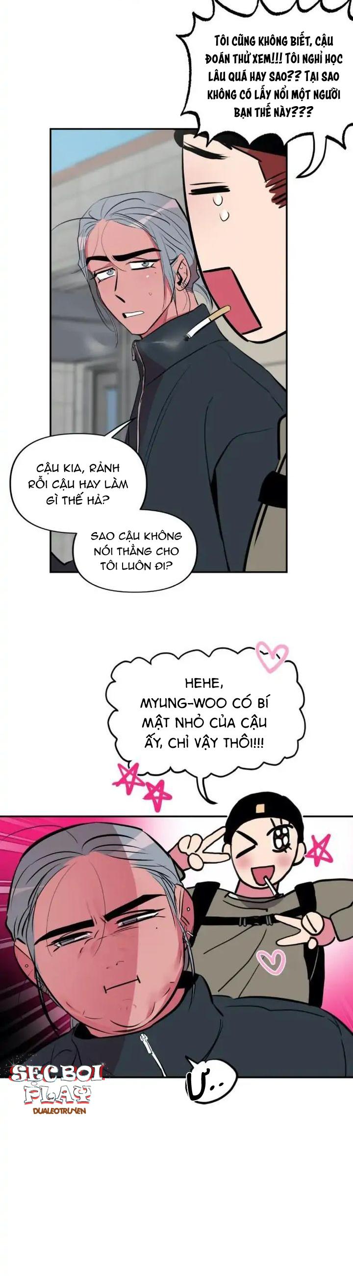 Trang 19