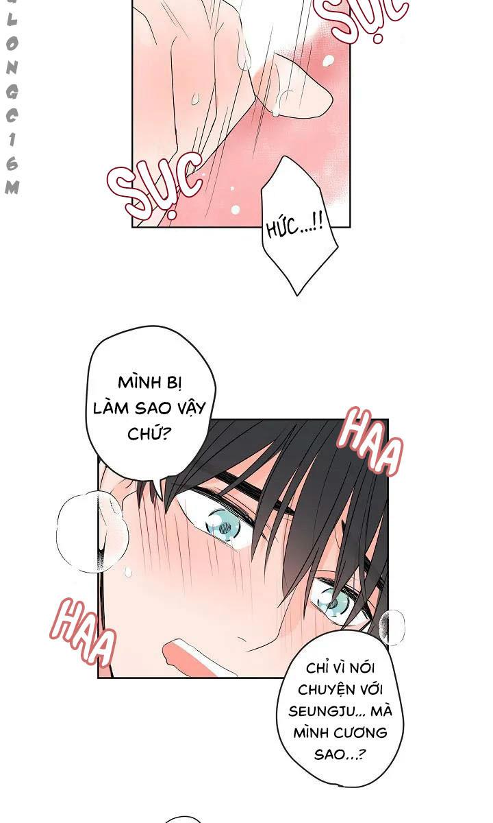 Trang 43