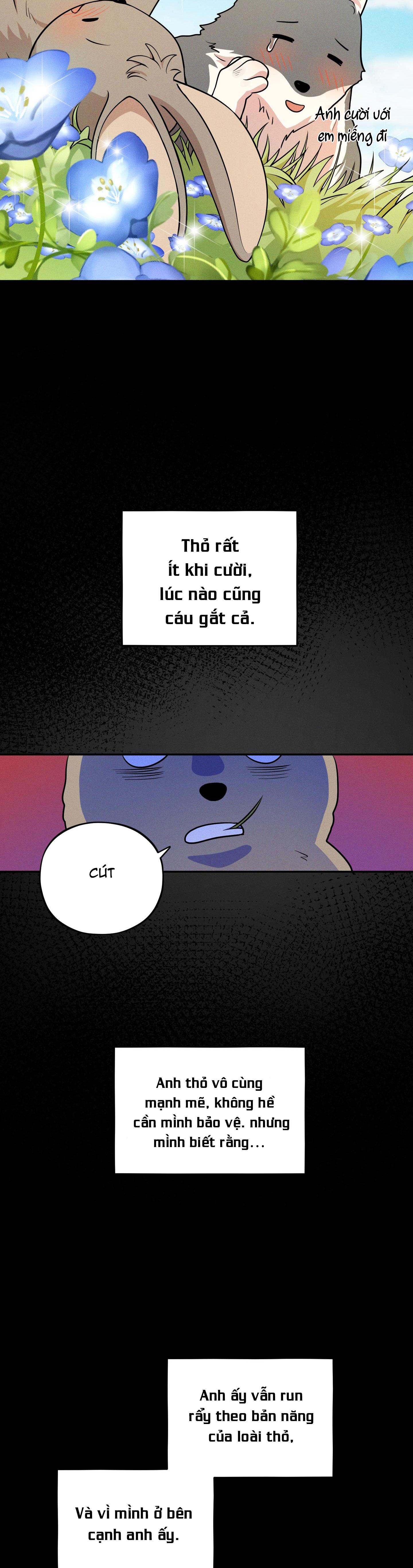 Trang 14