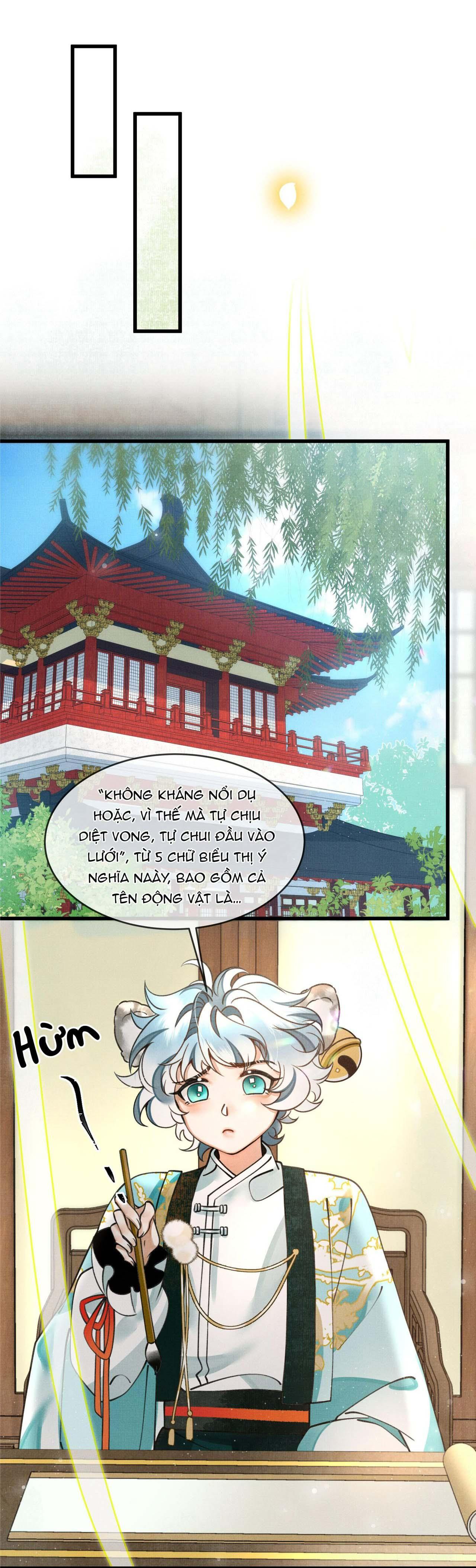 Trang 21