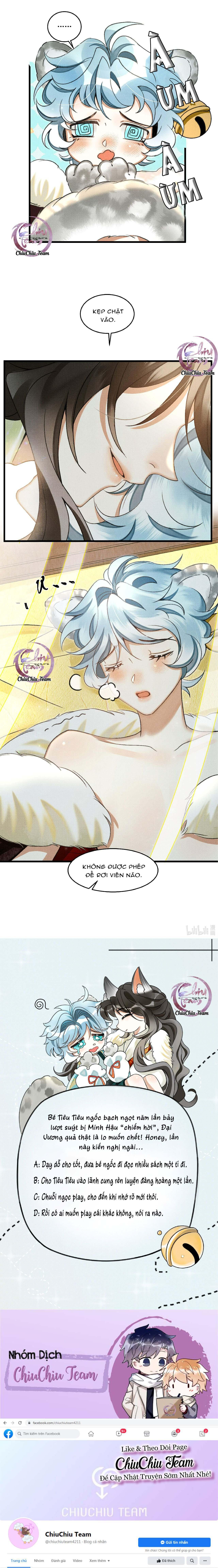 Trang 12