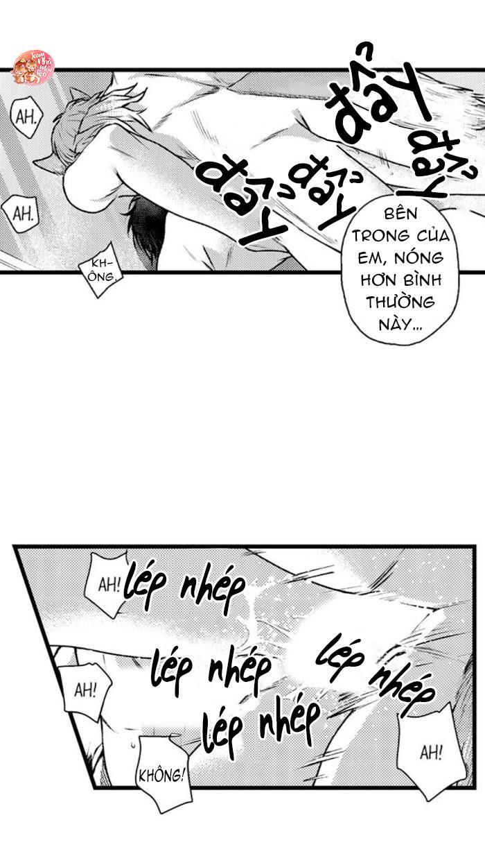 Trang 20