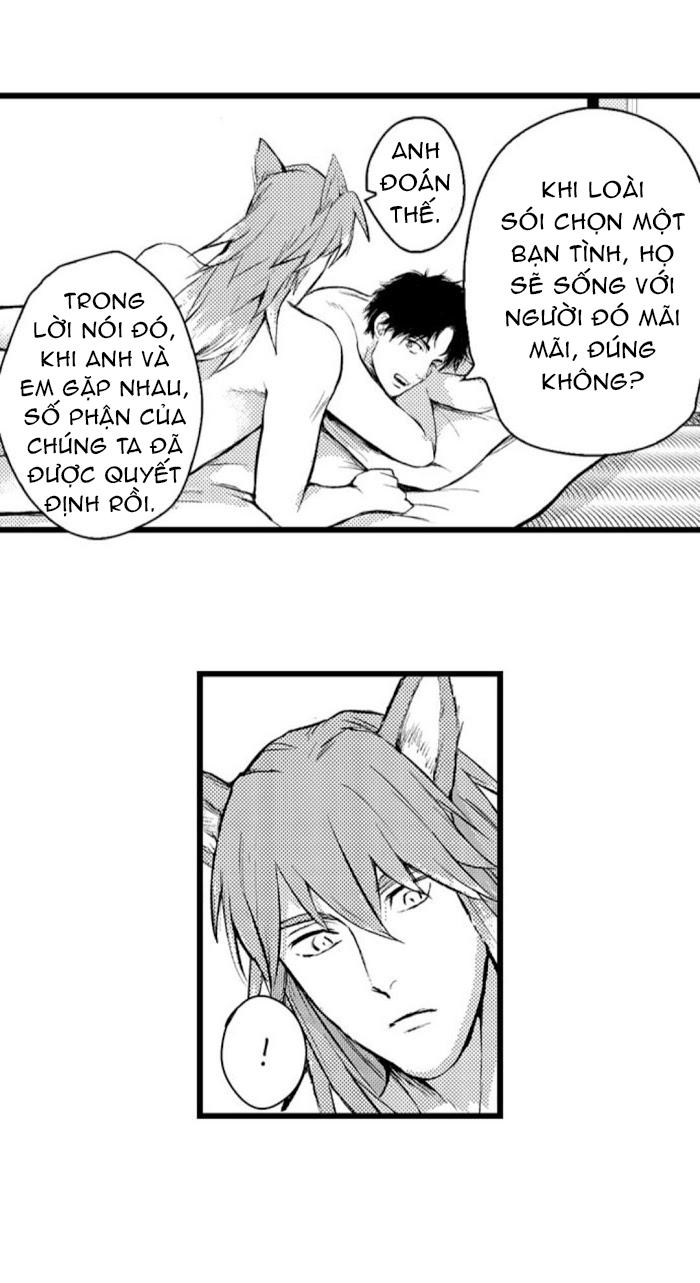 Trang 21