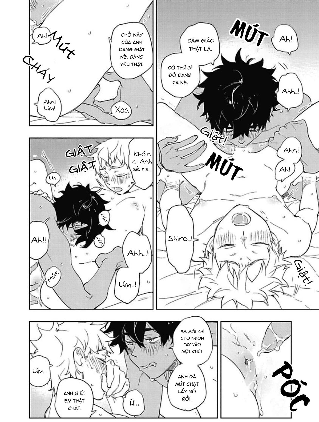 Trang 19