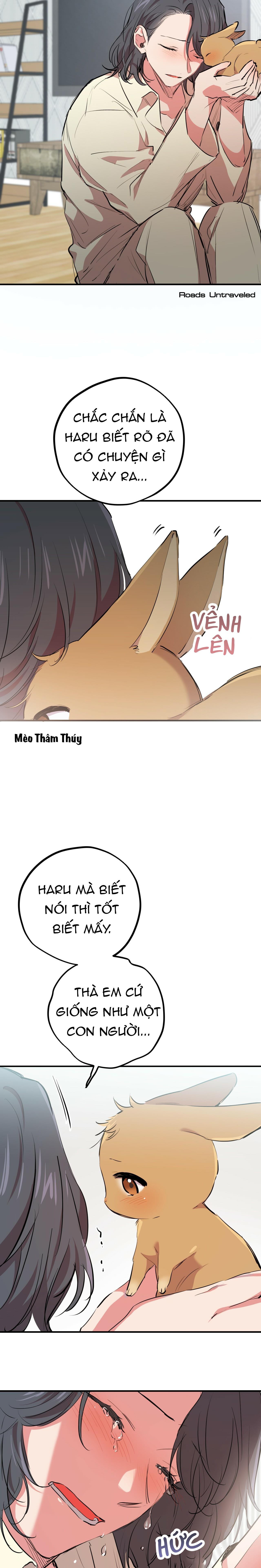 Trang 27