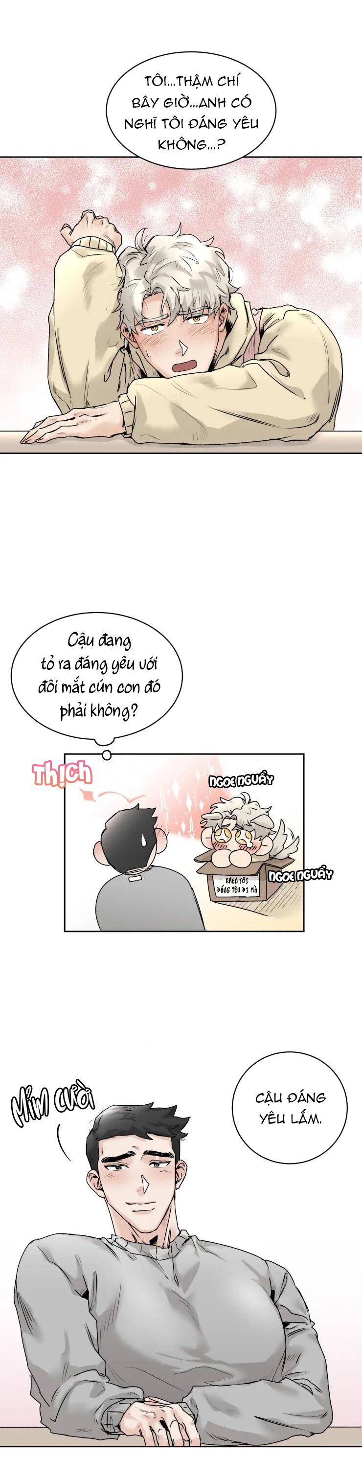 Trang 19