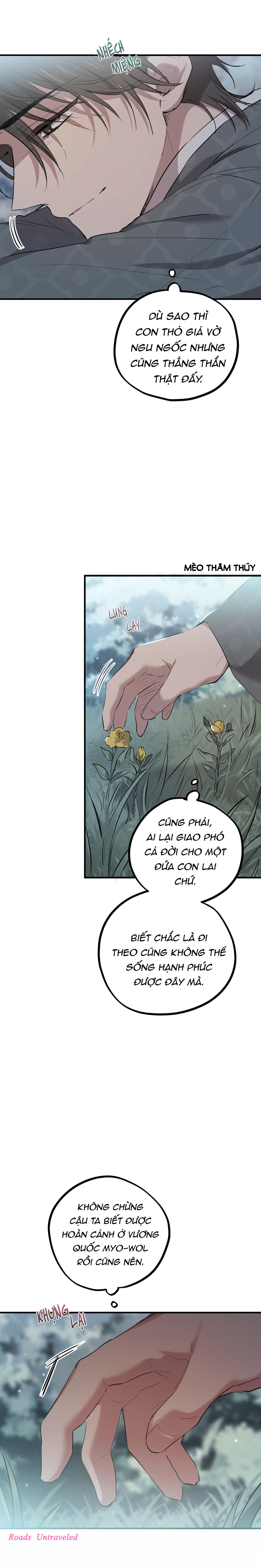 Trang 17