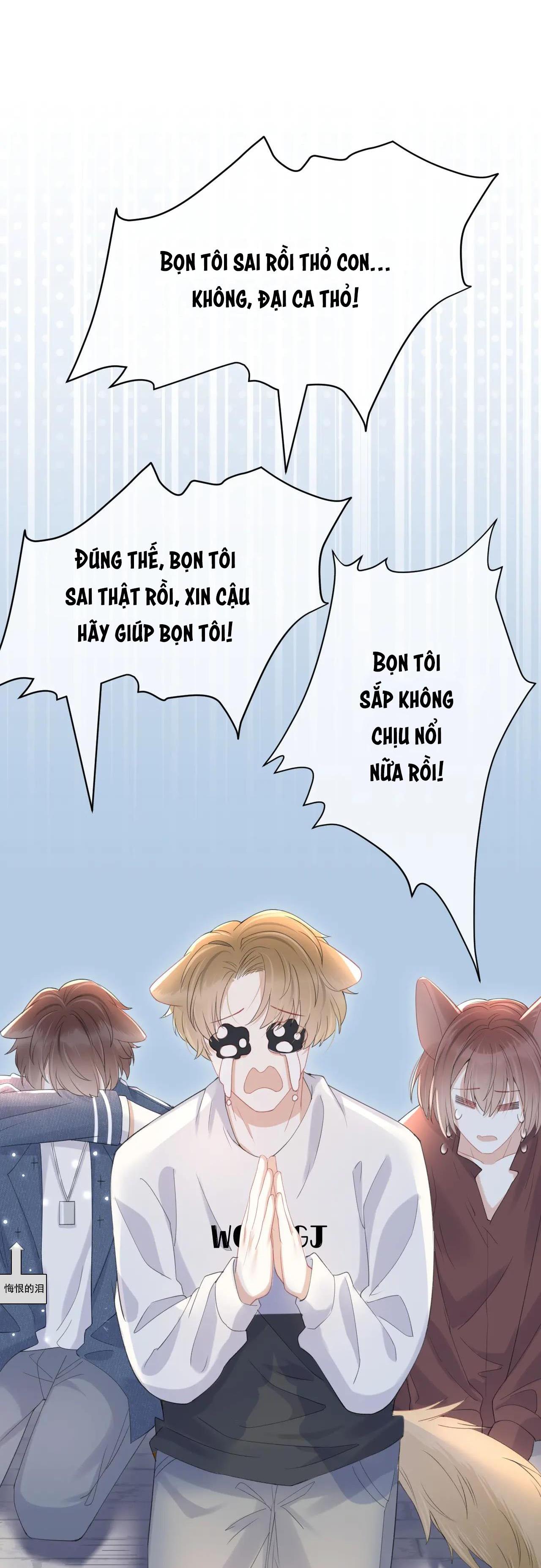 Trang 23