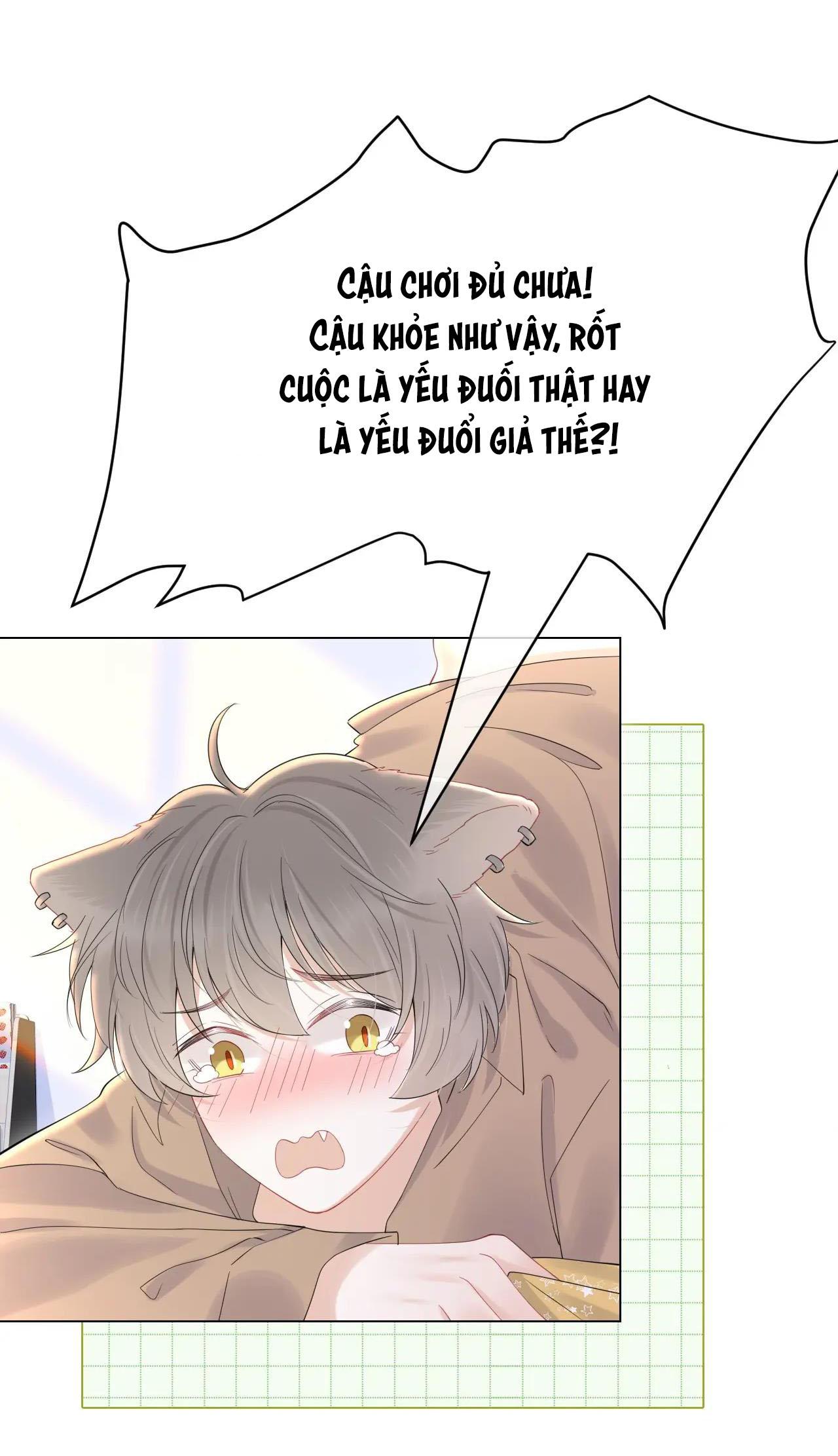 Trang 25