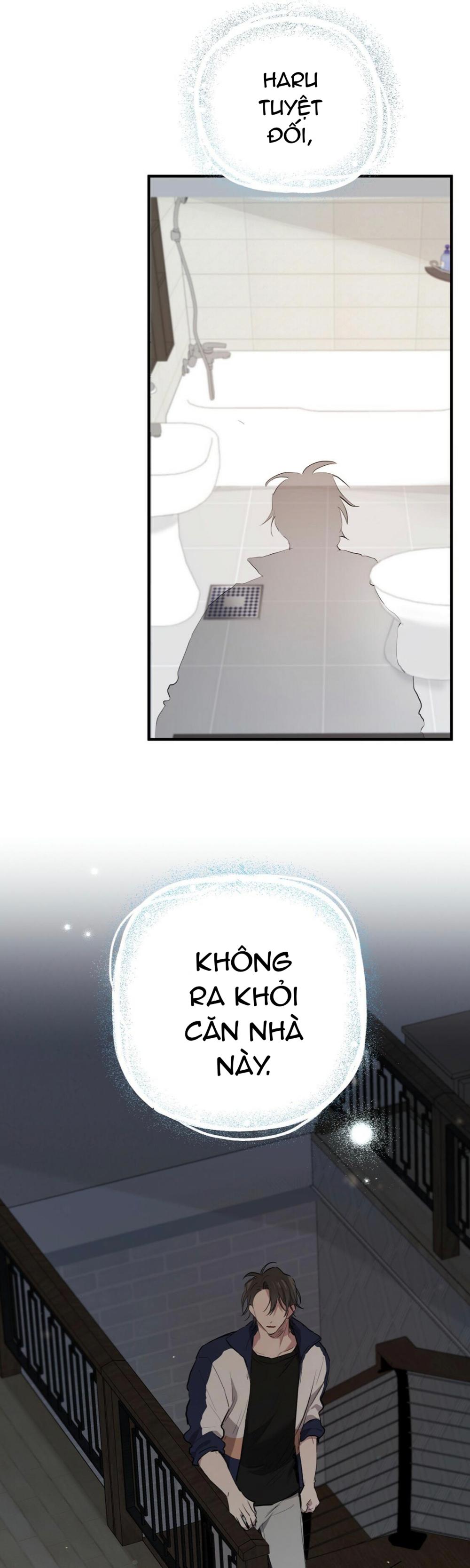Trang 51