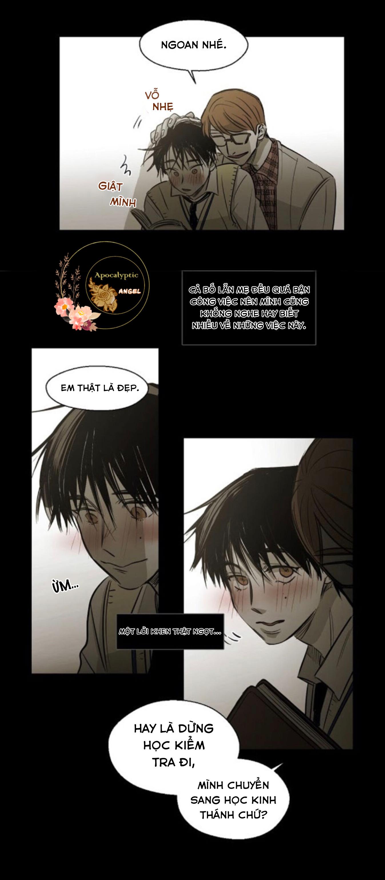 Trang 15