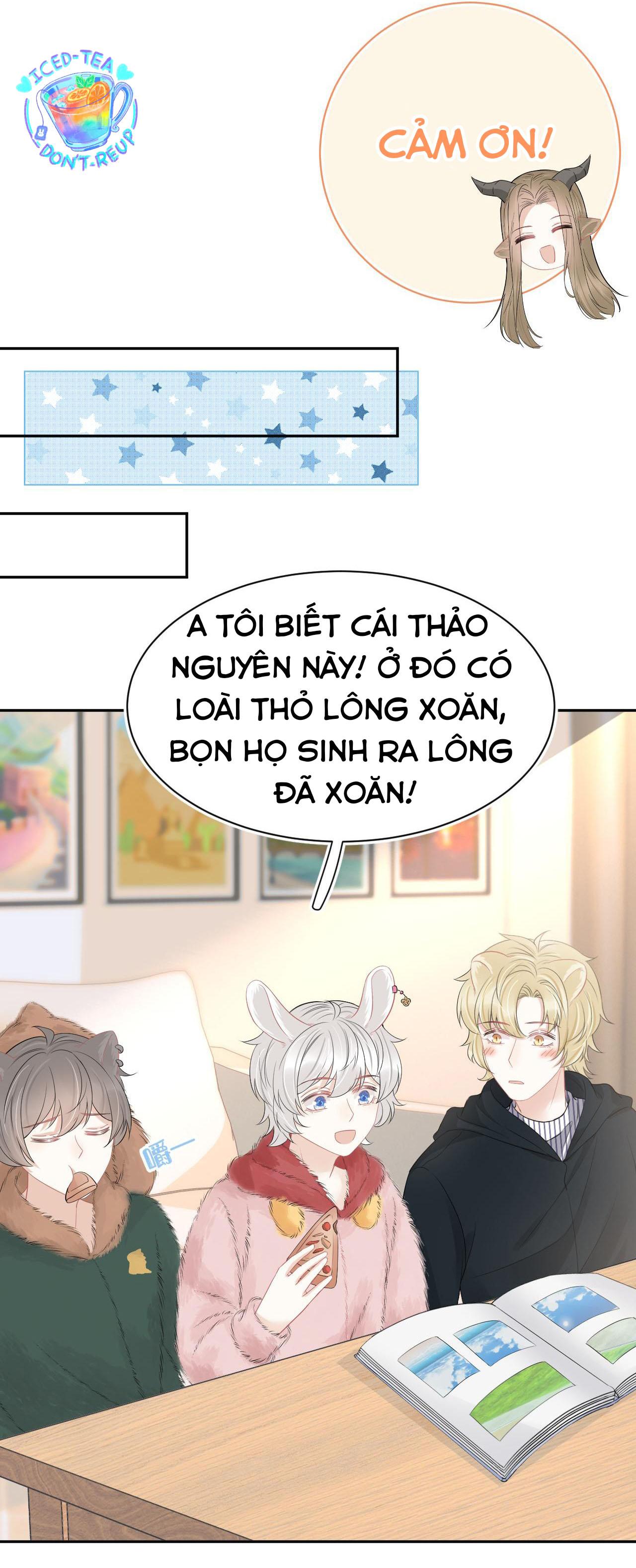 Trang 13