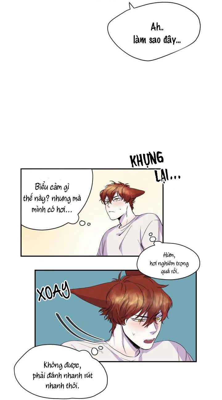 Trang 48