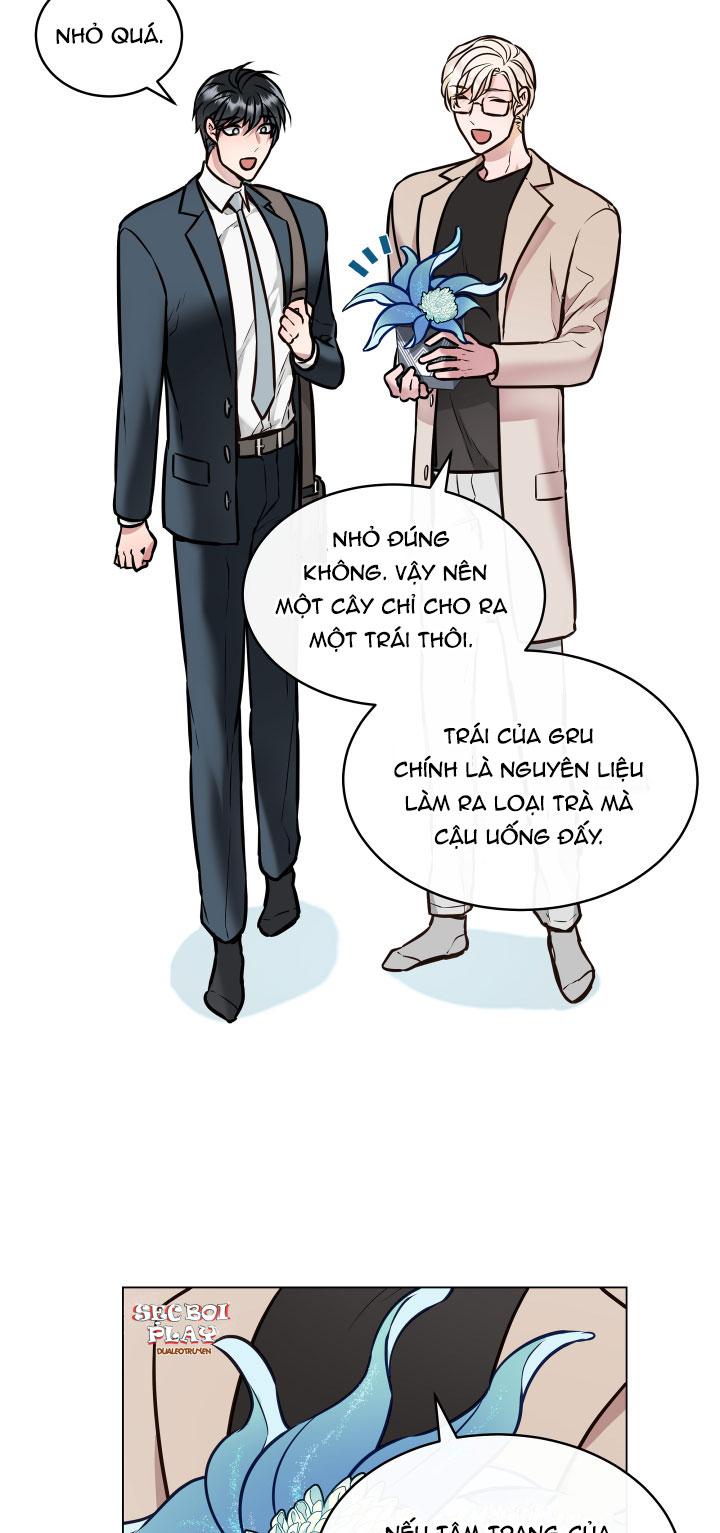 Trang 33