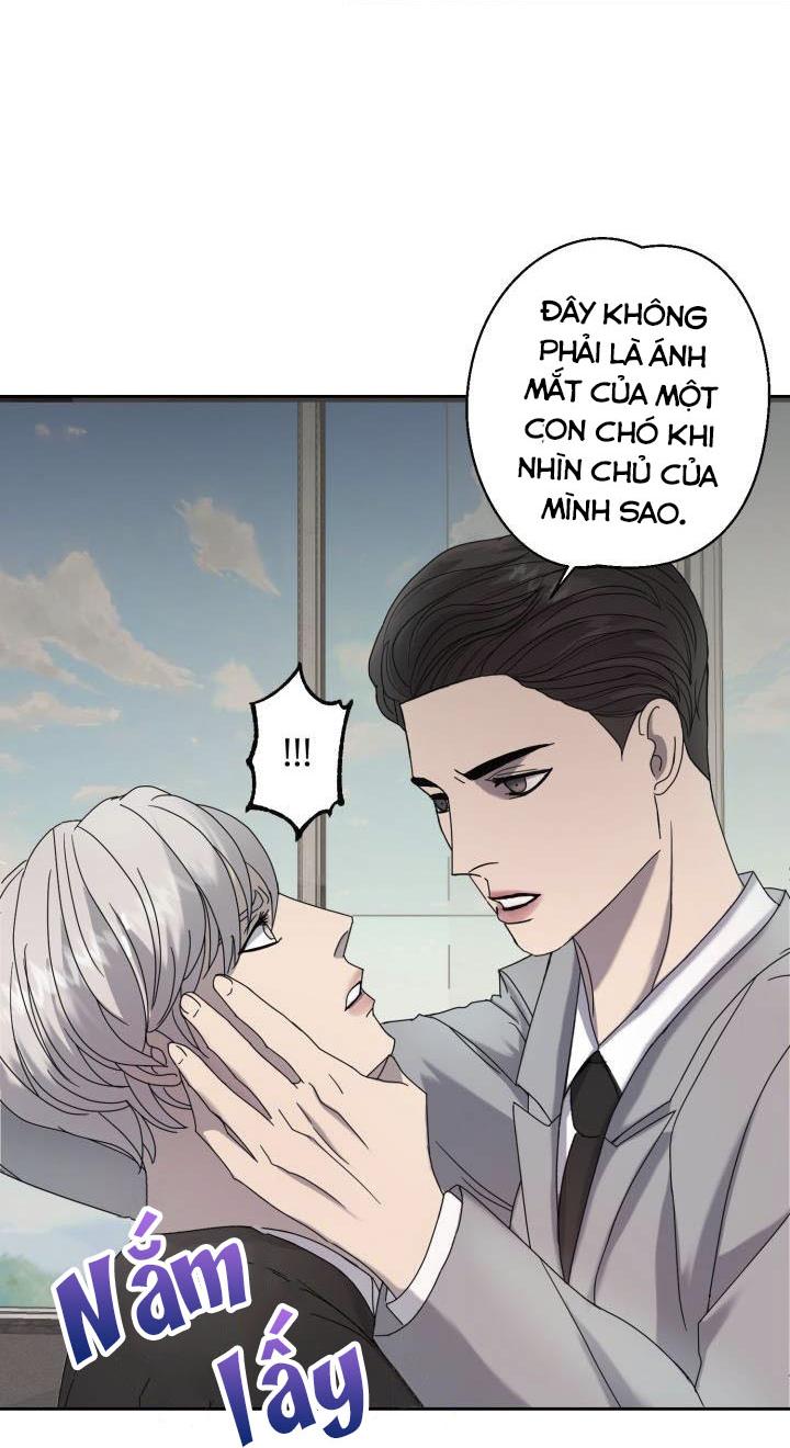 Trang 59