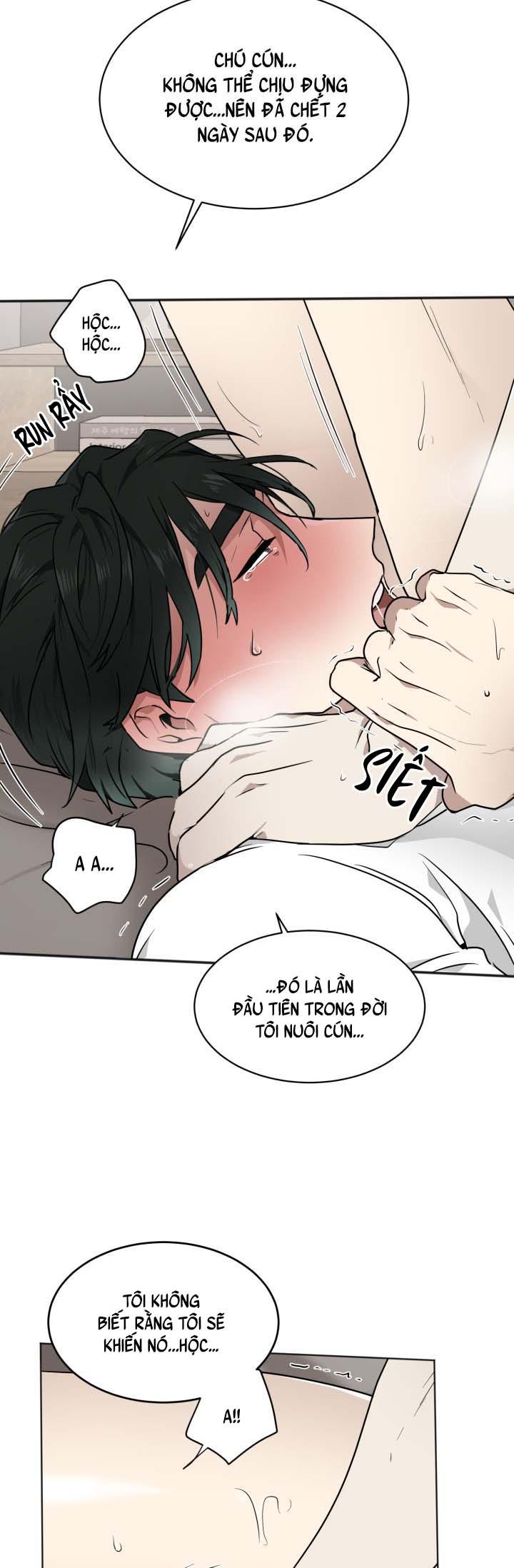 Trang 54