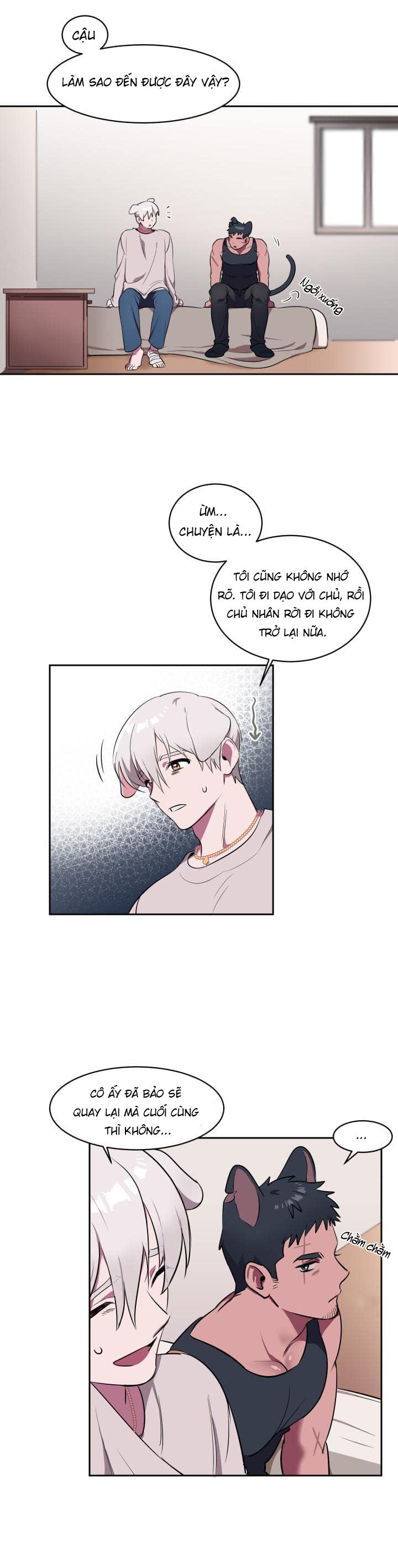 Trang 21
