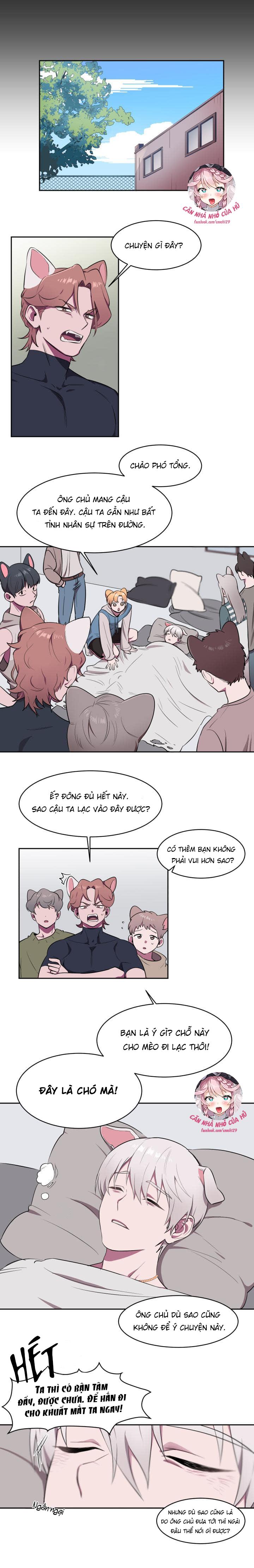 Trang 7