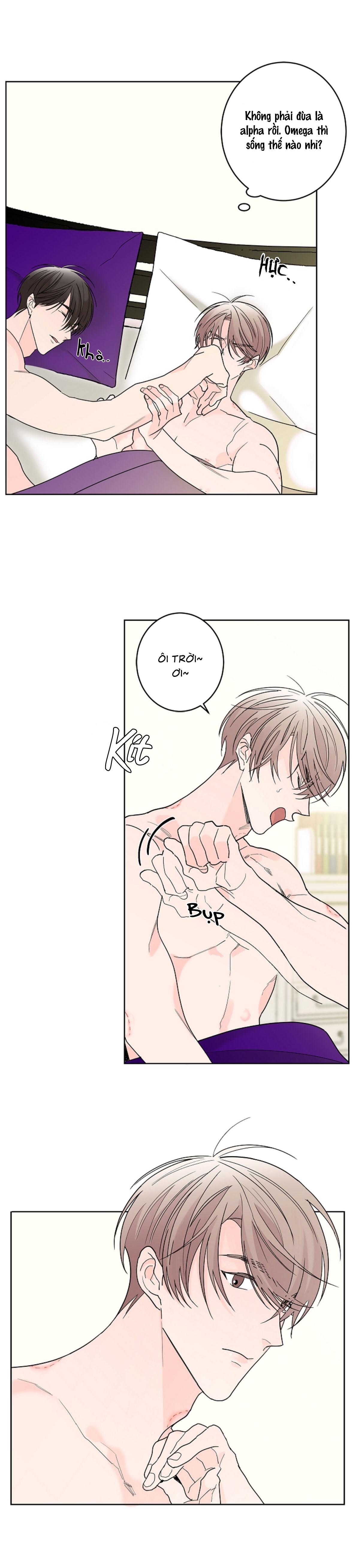 Trang 23
