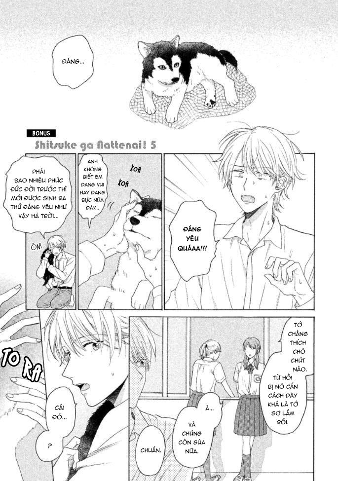 Trang 5