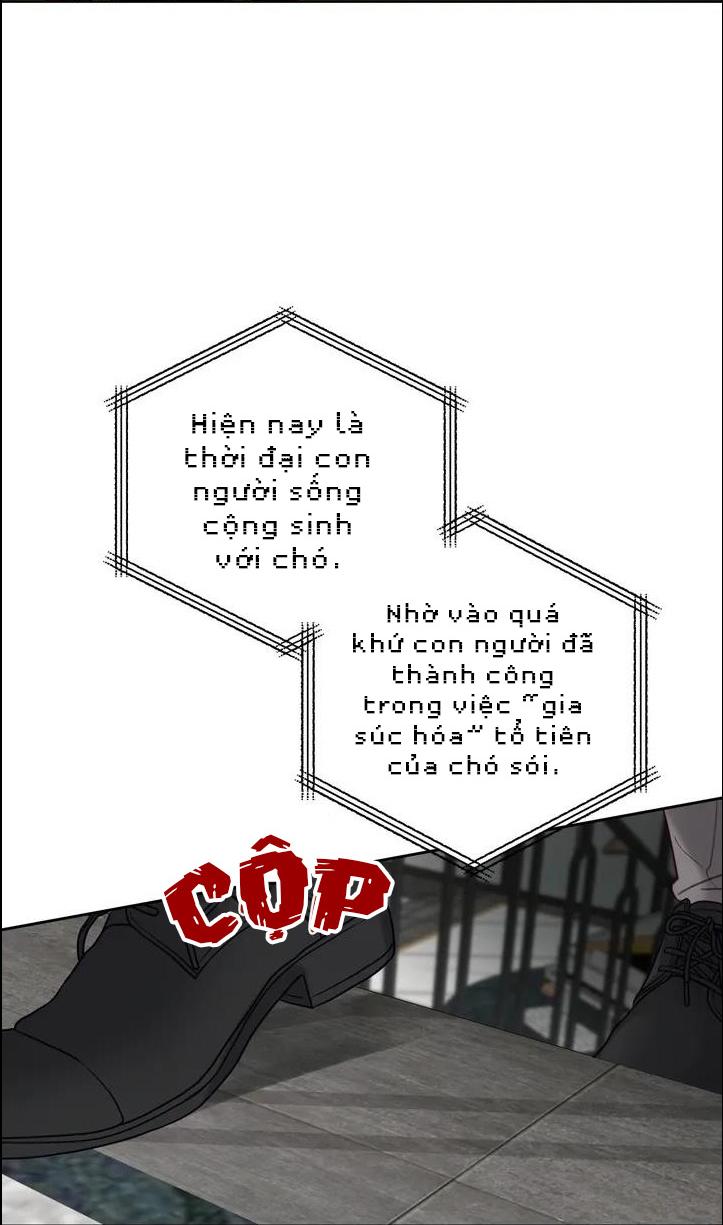 Trang 58