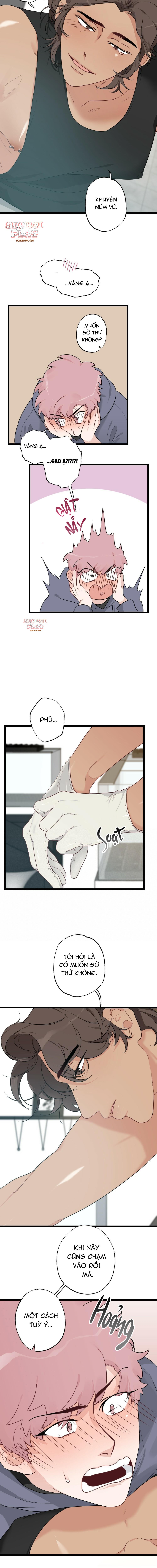 Trang 5