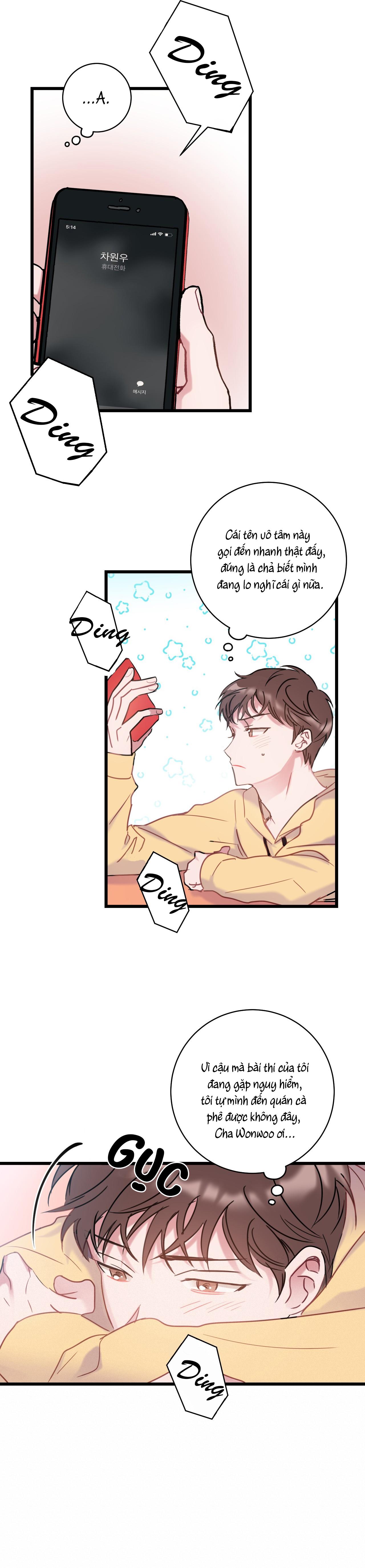 Trang 15
