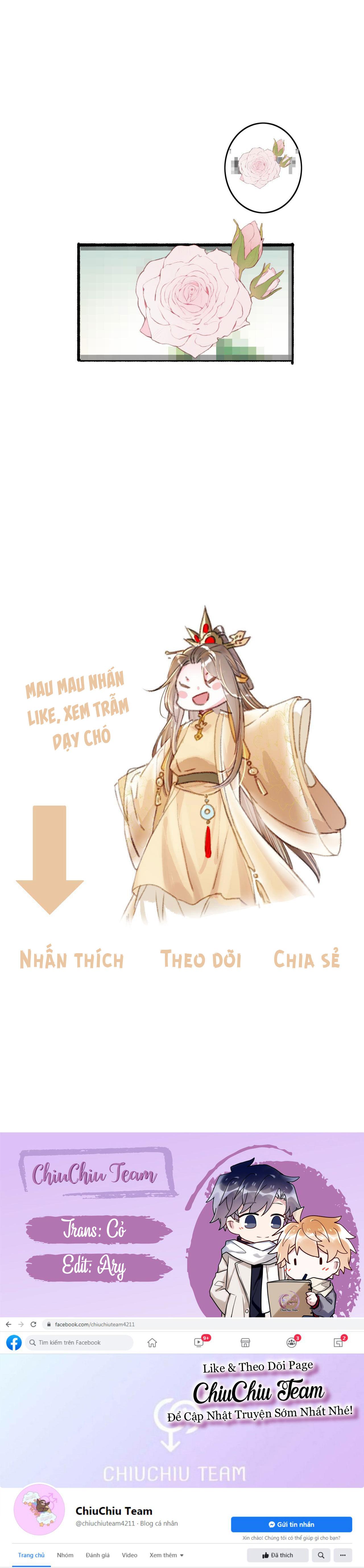 Trang 13