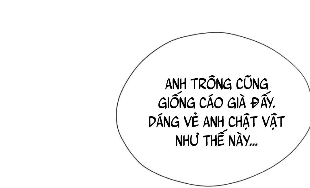 Trang 101
