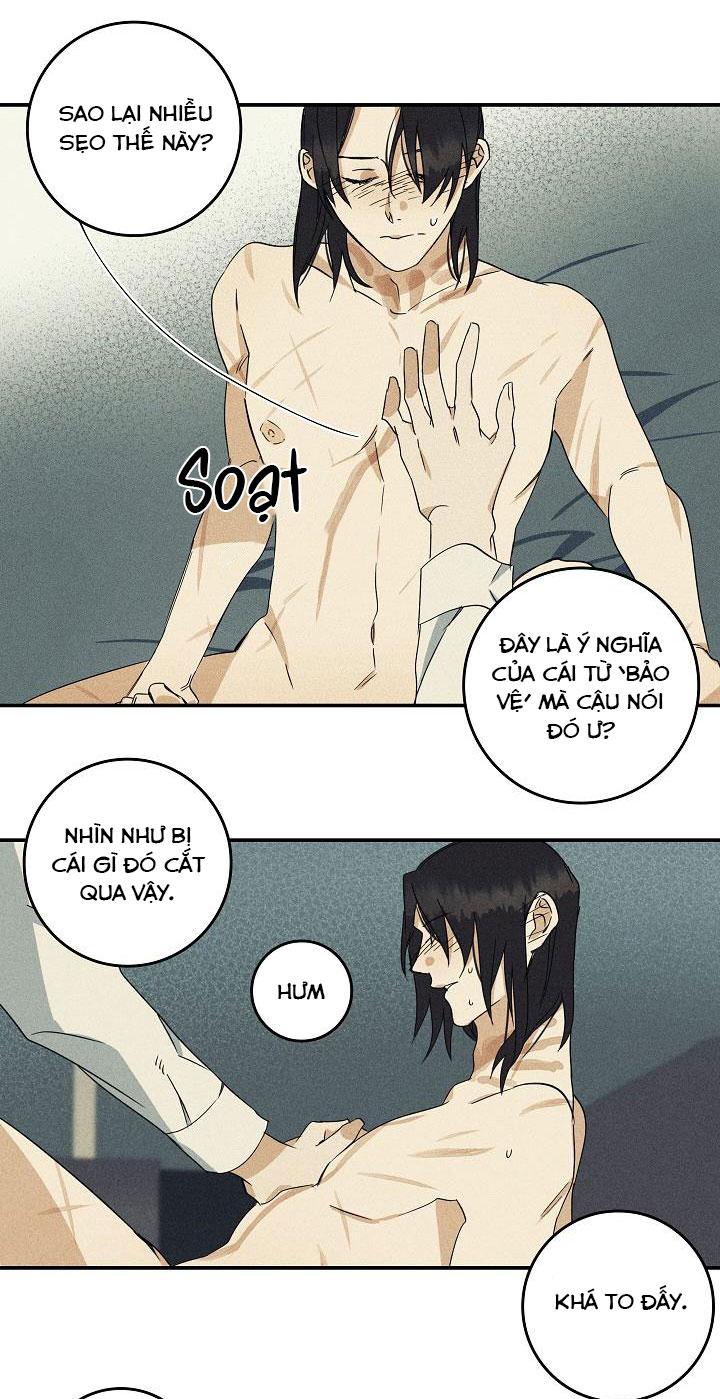 Trang 19