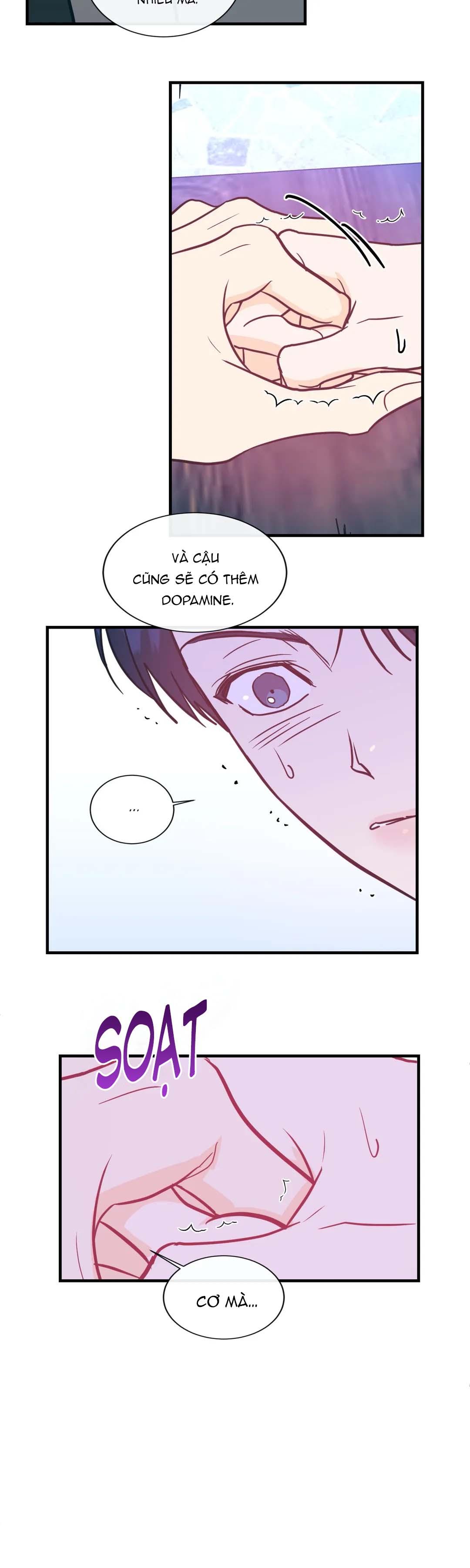 Trang 19