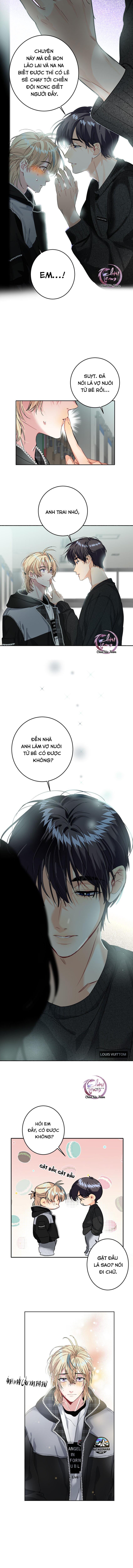 Trang 8