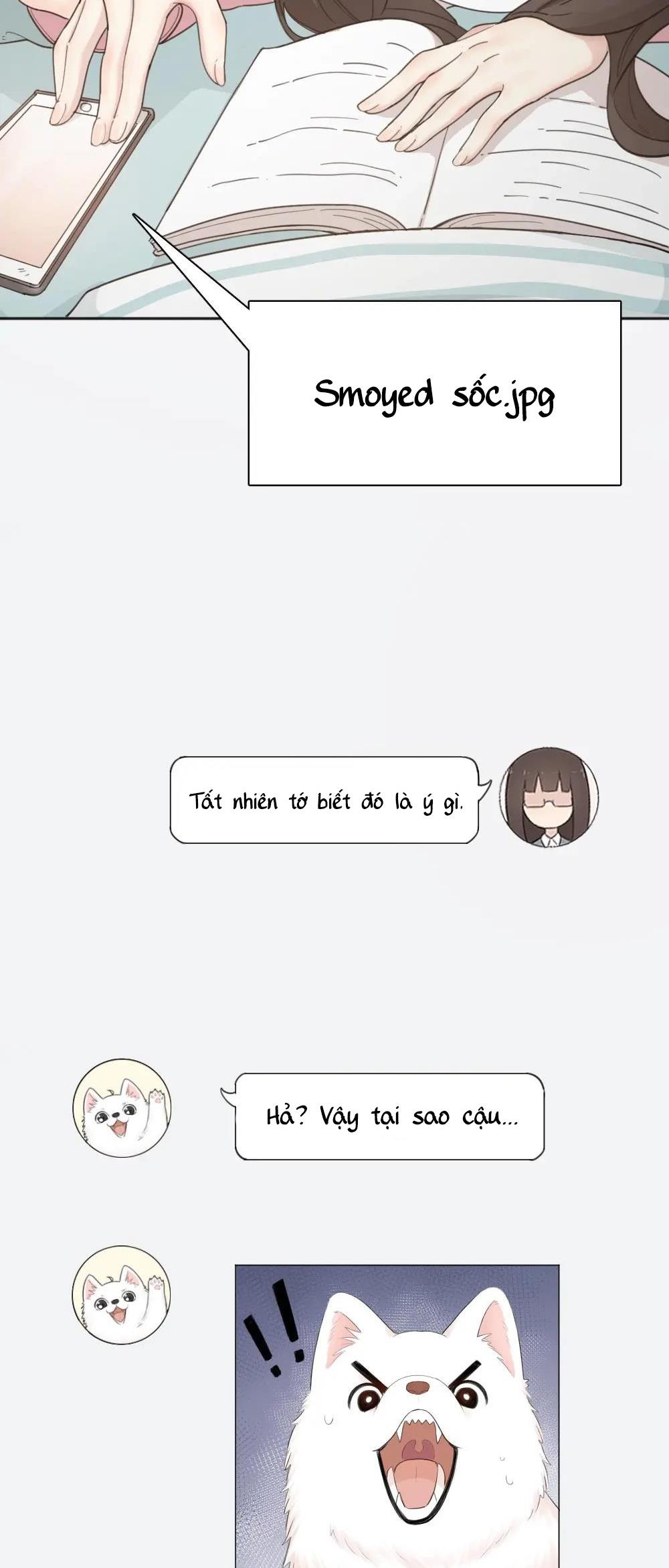 Trang 23