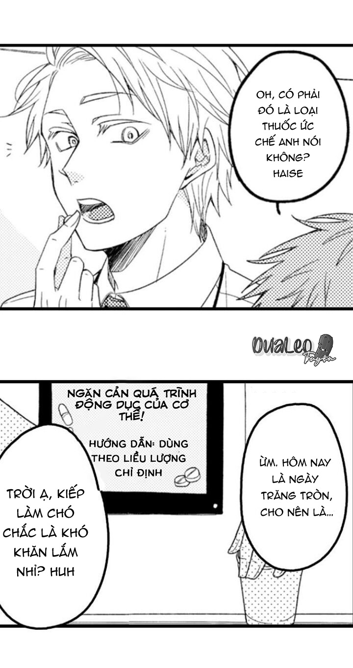 Trang 21