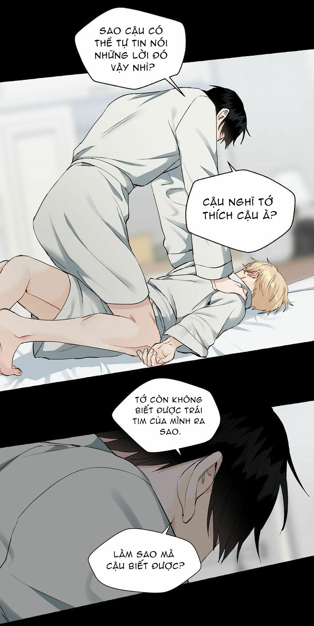 Trang 31