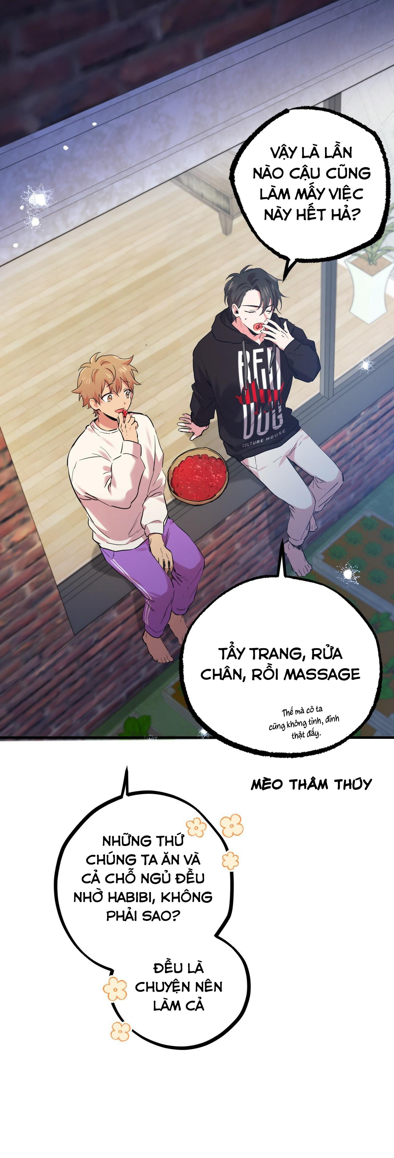 Trang 21