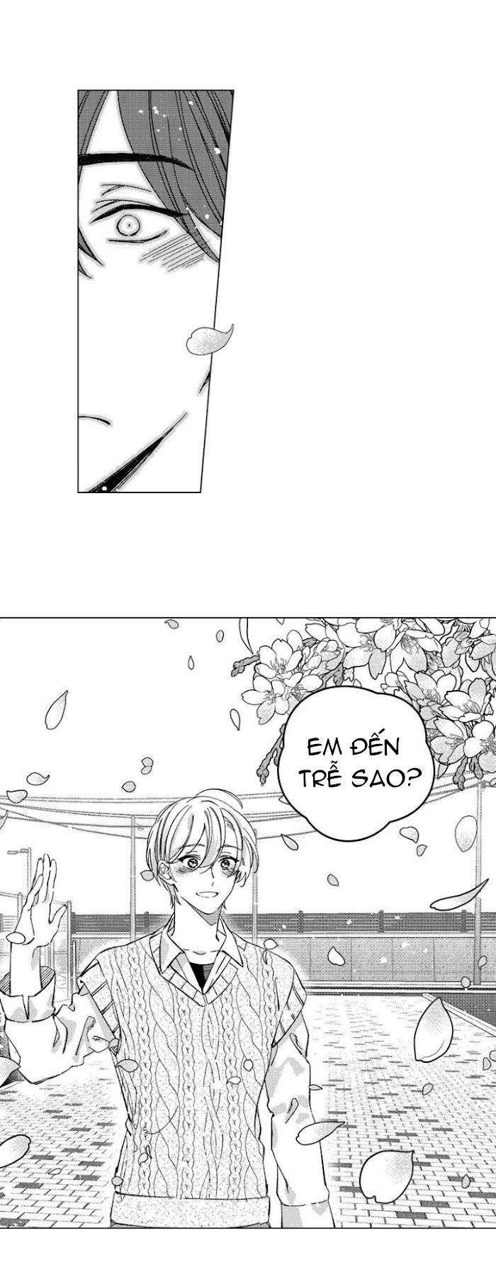 Trang 15