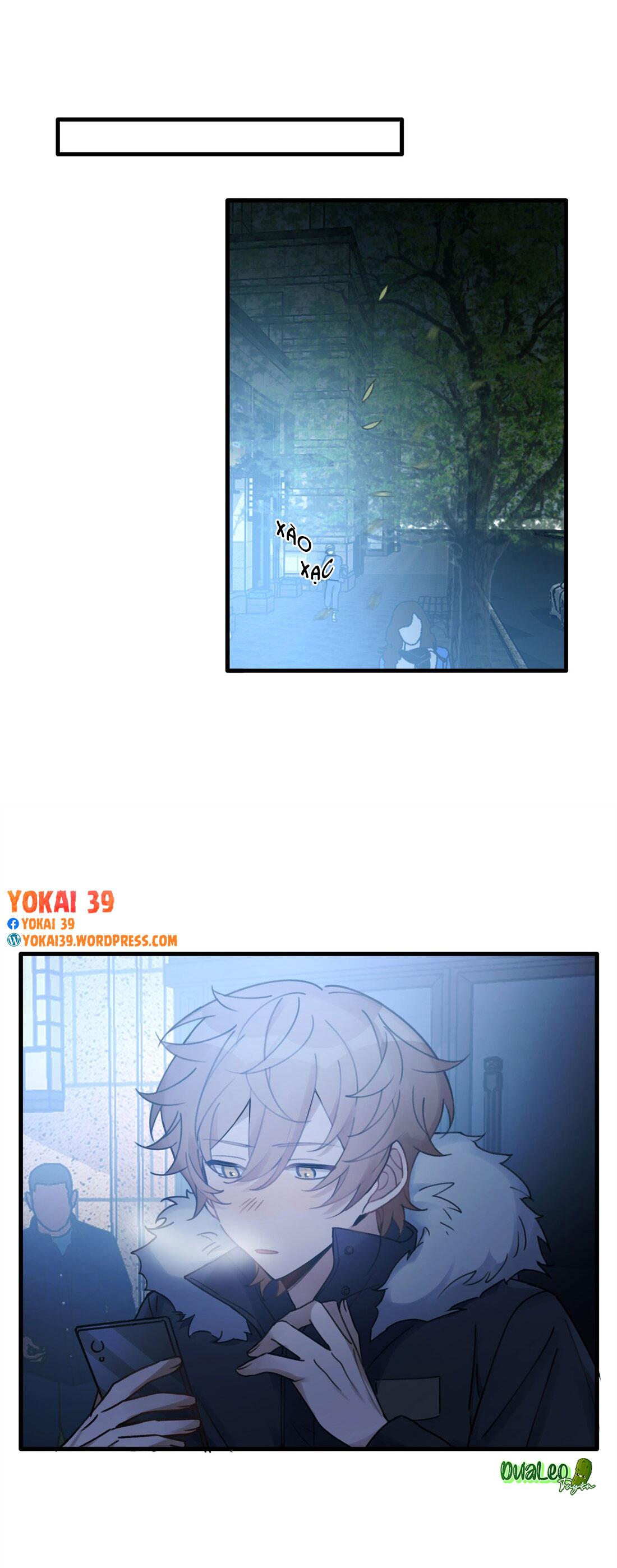Trang 17