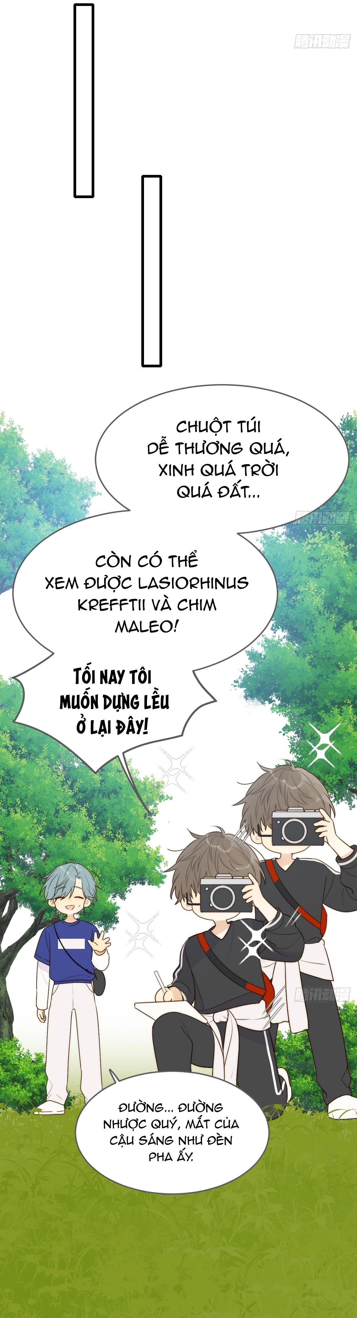 Trang 15