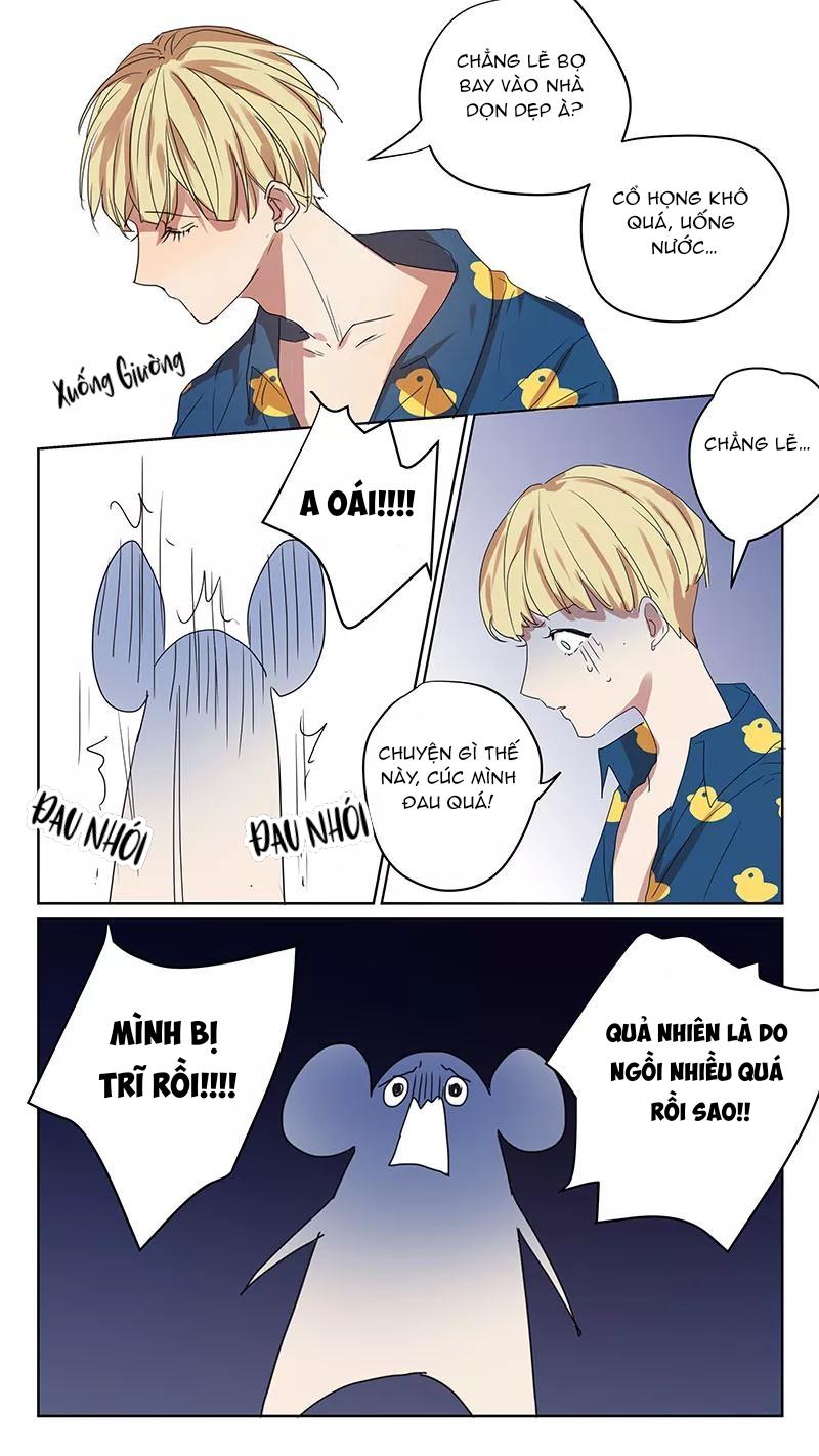 Trang 8